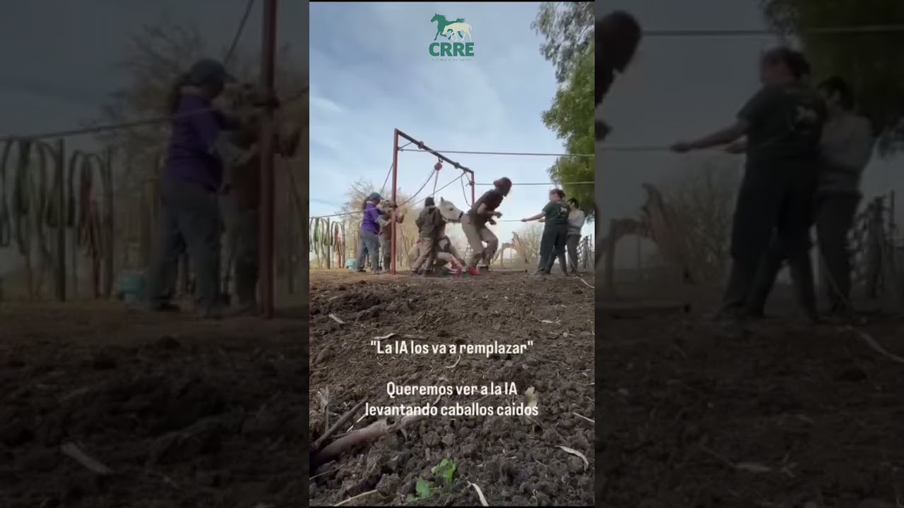 Your love for horses will give you superpowers. #horse #help #vet #equestrian #rescueefforts #animal