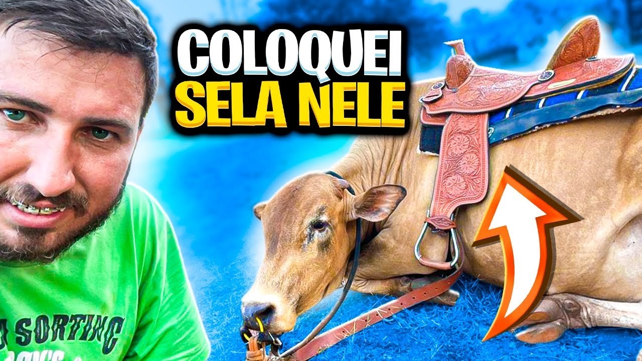 COLOQUEI SELA NO SENEPOL ! ele quis pular comigo !