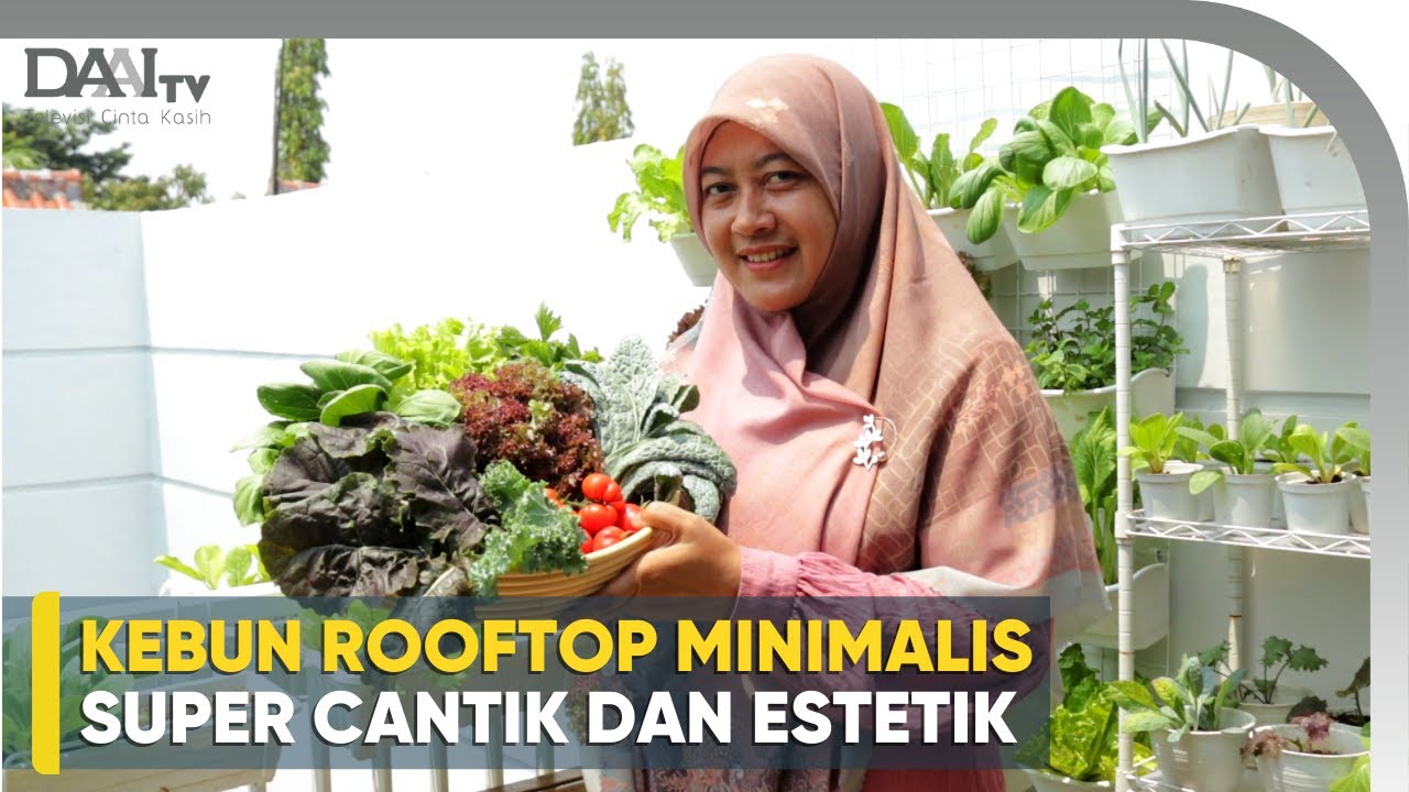 Cara Menata Kebun Mini Agar Cantik dan Estetik