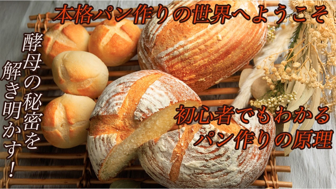 田舎パン（カンパーニュ）作り、初心者でも分かるパン作りの原理