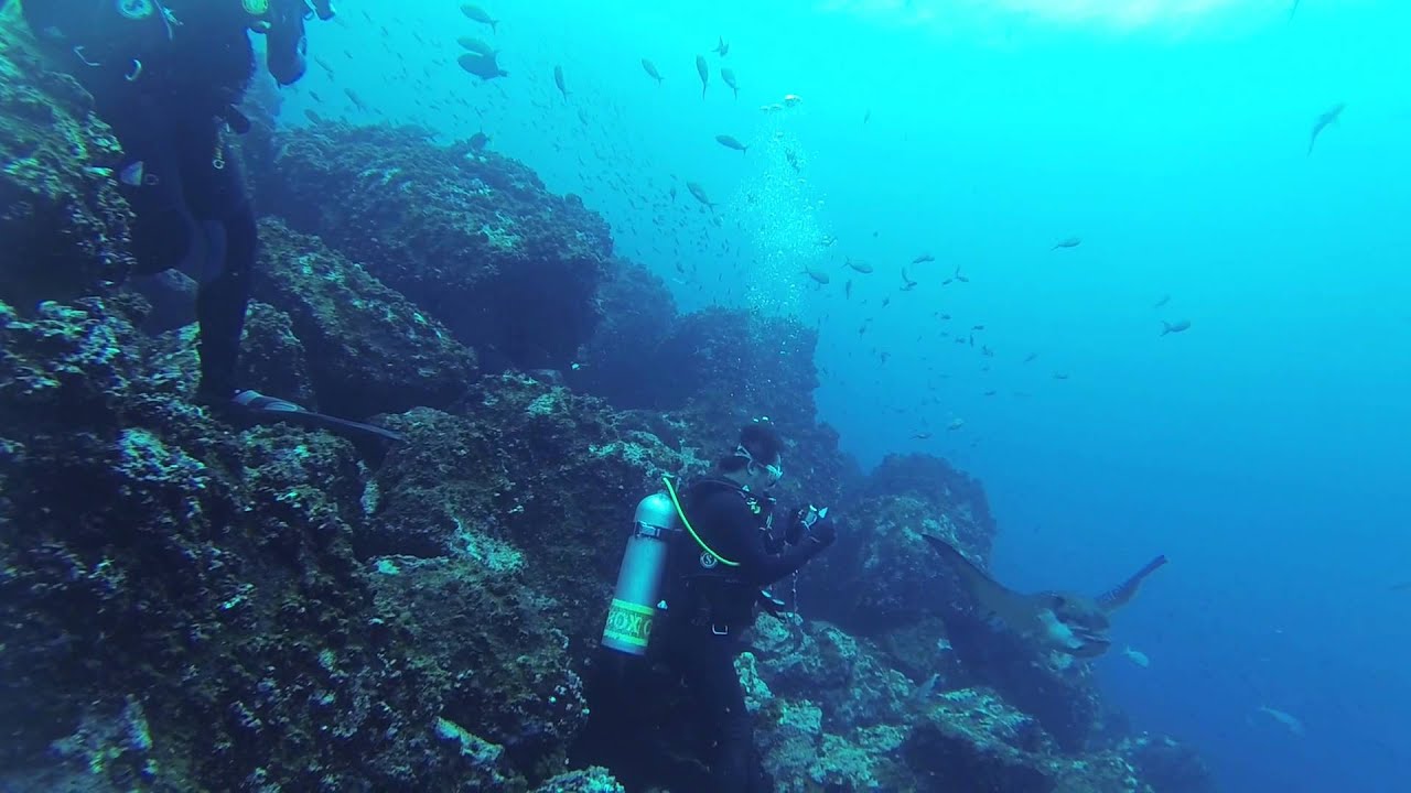 Galápagos Diving - GoPro - Galapagos Sky