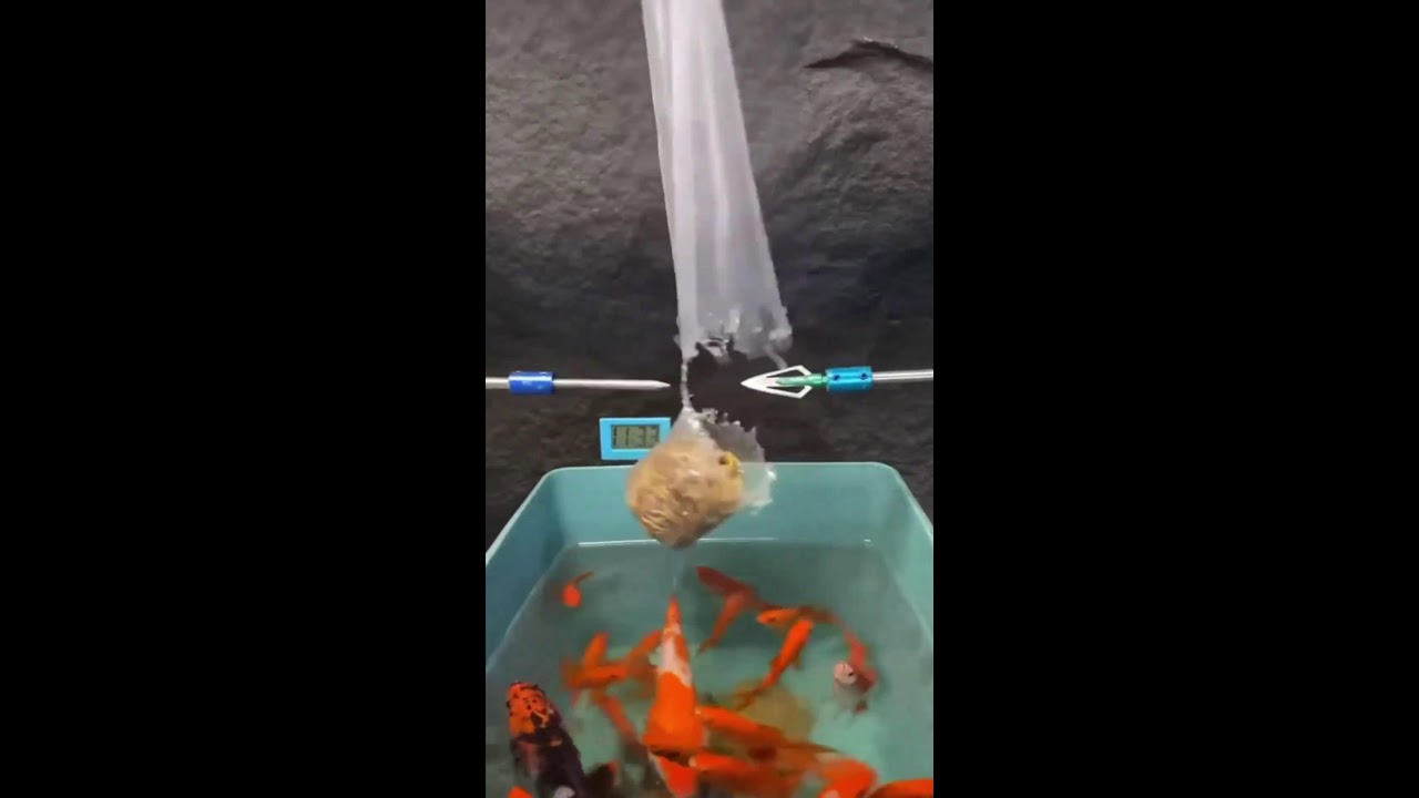 ИГРАЕМ НА СТРИМЕ