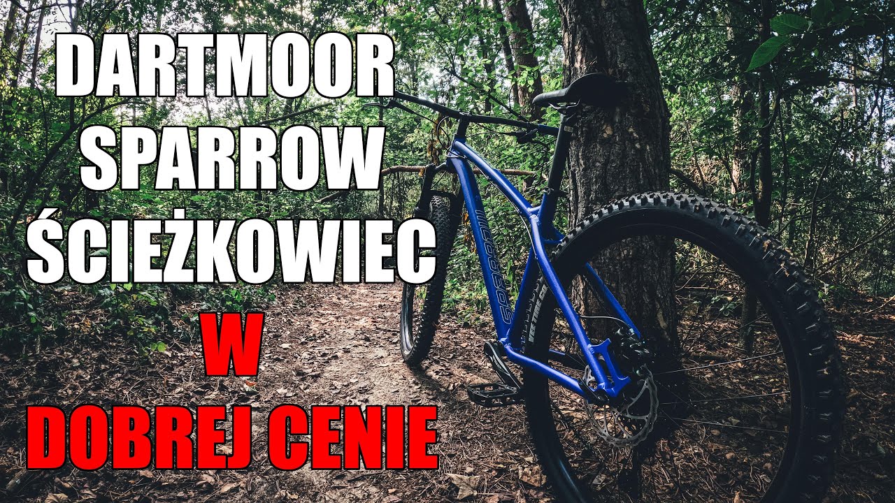 Dartmoor Sparrow Mullet - uniwersalny góral z większym skokiem