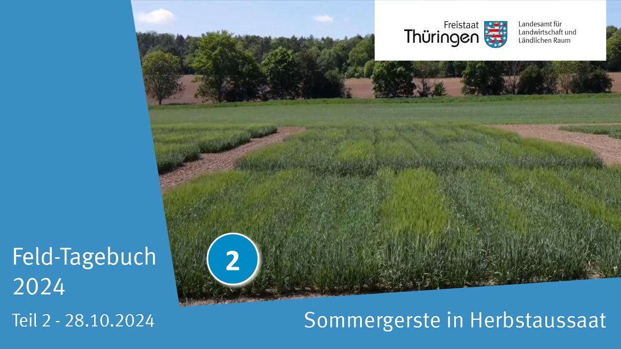 Feld-Tagebuch - Wechselsommergerste - Teil 2