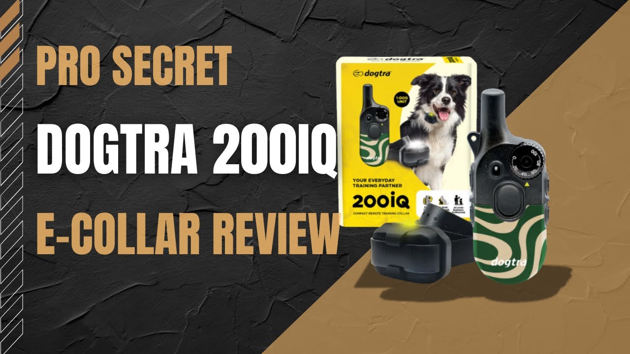 DOGTRA 200iQ Unboxing & Deep Dive: This Will TRANSFORM Your Dog's Obedience