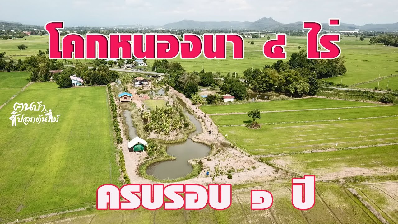 1 ปี โคกหนองนา 4 ไร่ อาร์ท แหม่ม//คนบ้าปลูกต้นไม้
