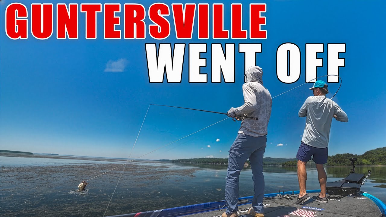 Как ловить рыбу в зарослях травы на озере Гантерсвилл!