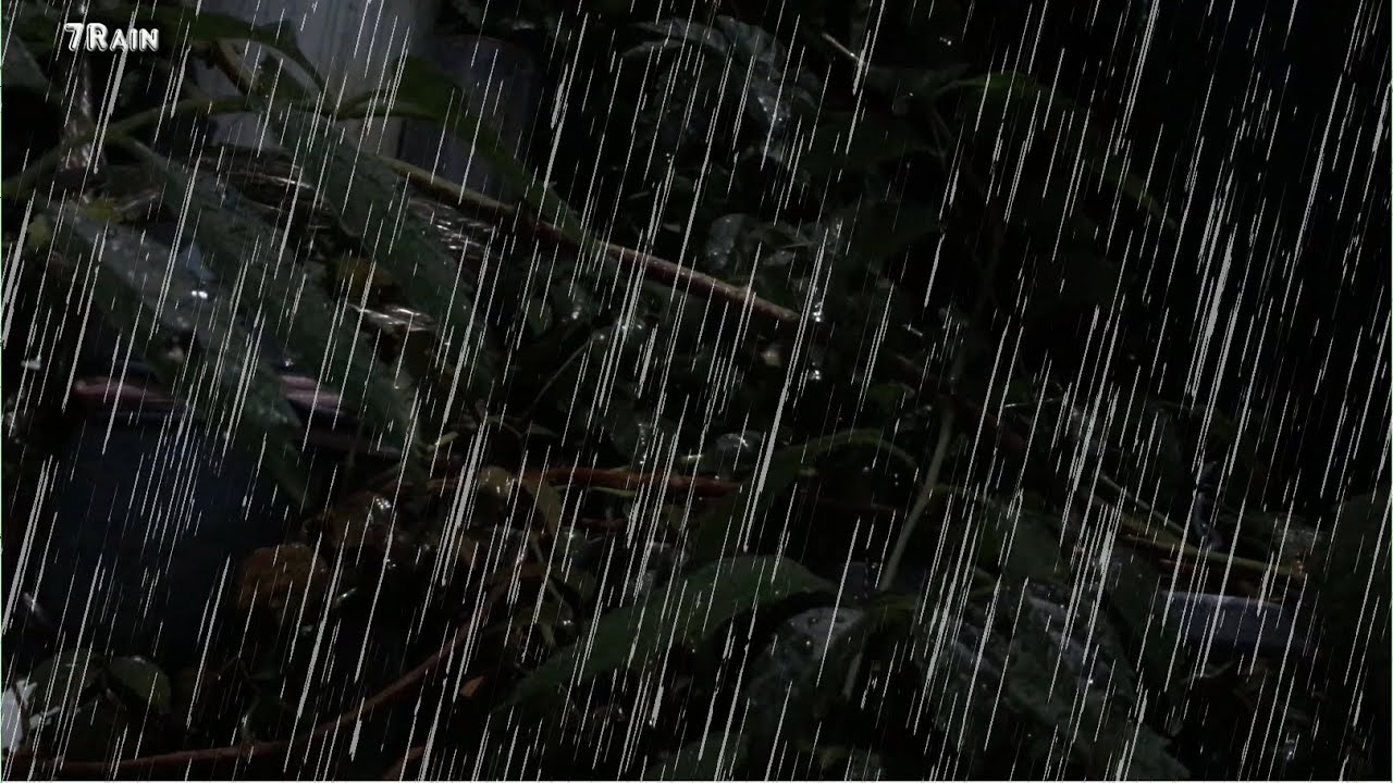Sleep Instantly with Heavy Rain & Thrilling Thunder in Forest at Night