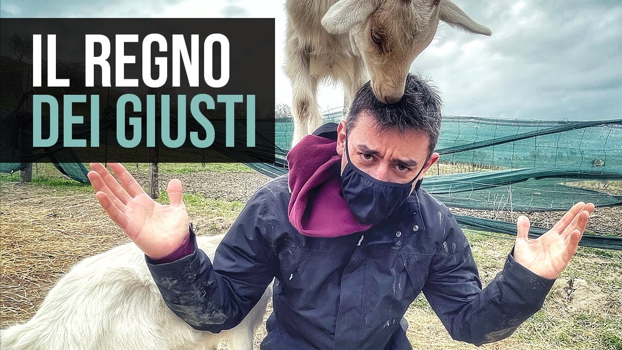 L'odissea di 2000kg a santuari degli animali