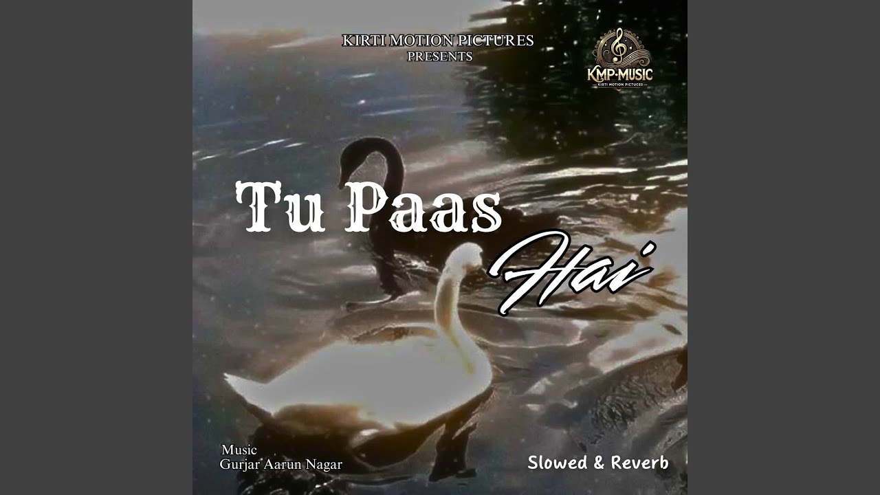 Tu Paas Hai Slowed & Reverb