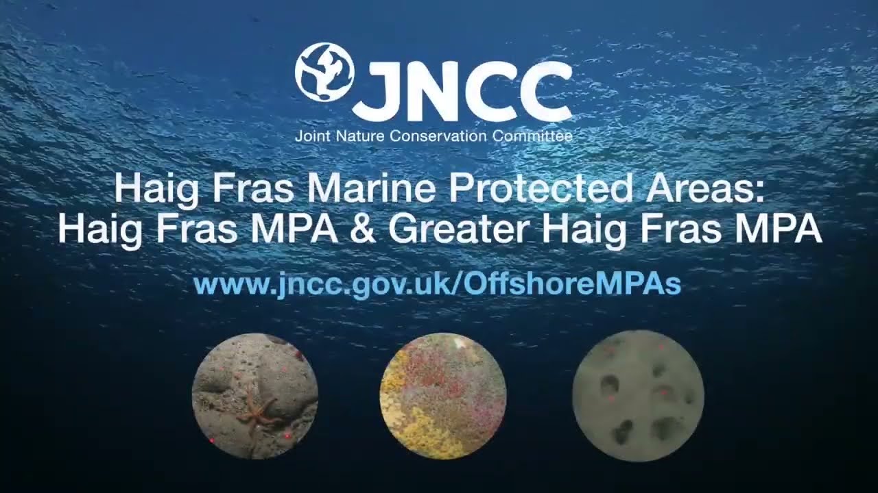 Haig Fras MPA and Greater Haig Fras MPA