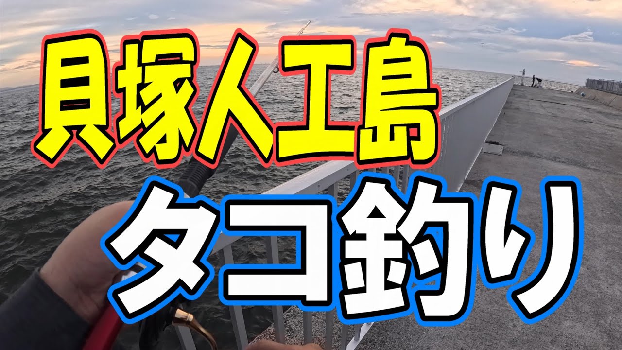 【貝塚 人工島】初心者必見！タコ釣れるのか？