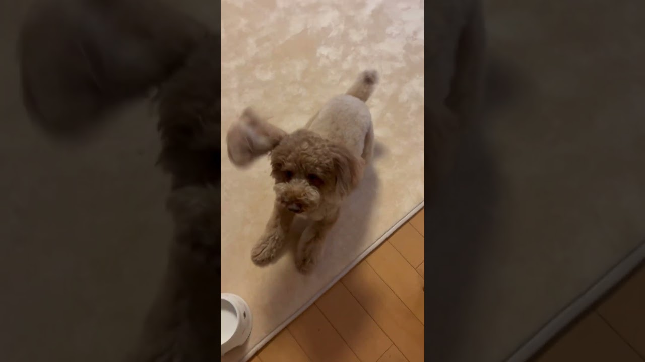 大歓迎からの最後の顔何？