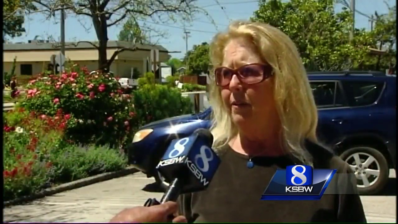 Mountain lion found napping in Santa Cruz tree