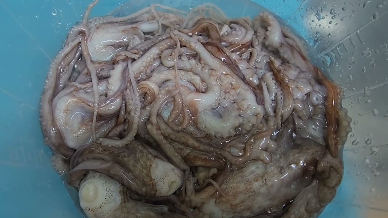 mystery. 낙지 손질은 처음입니다