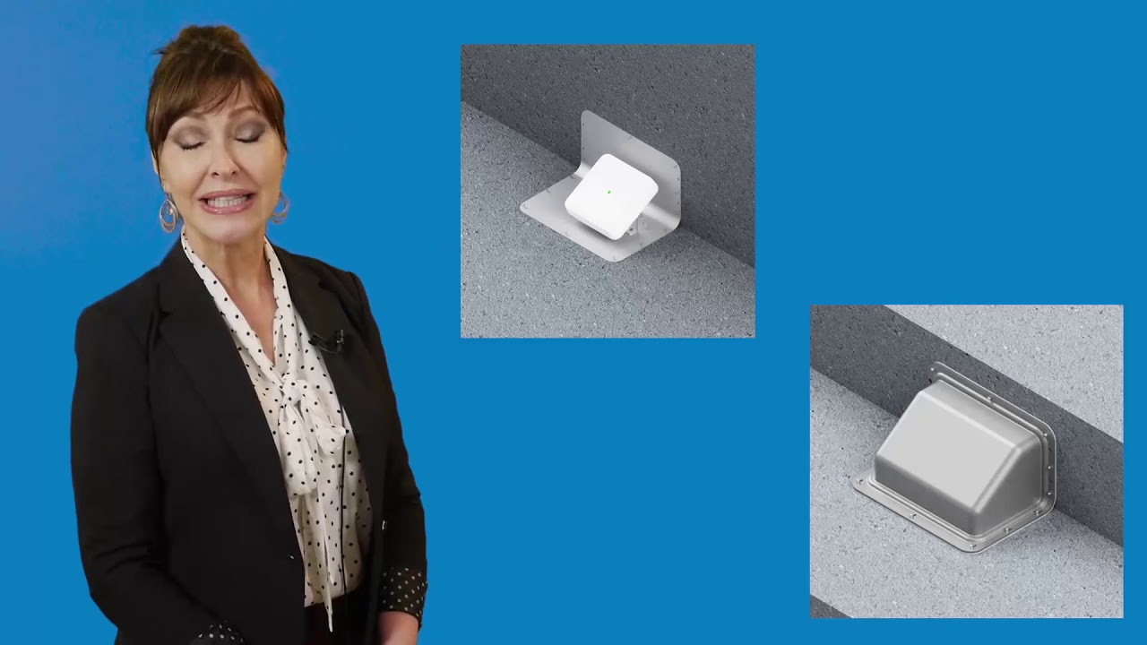 Wireless Access Points at Large Public Venues