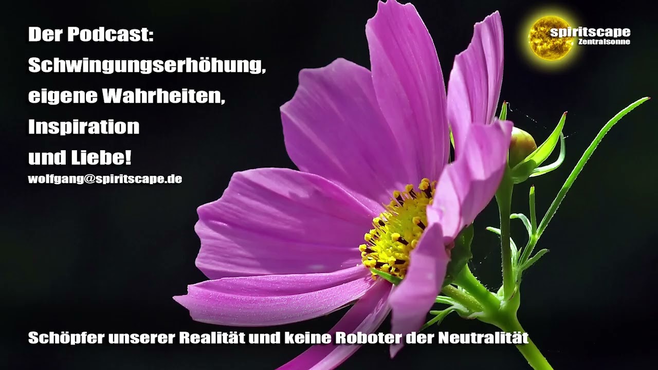 Schöpfer unserer Realität und keine Roboter der Neutralität – Podcast