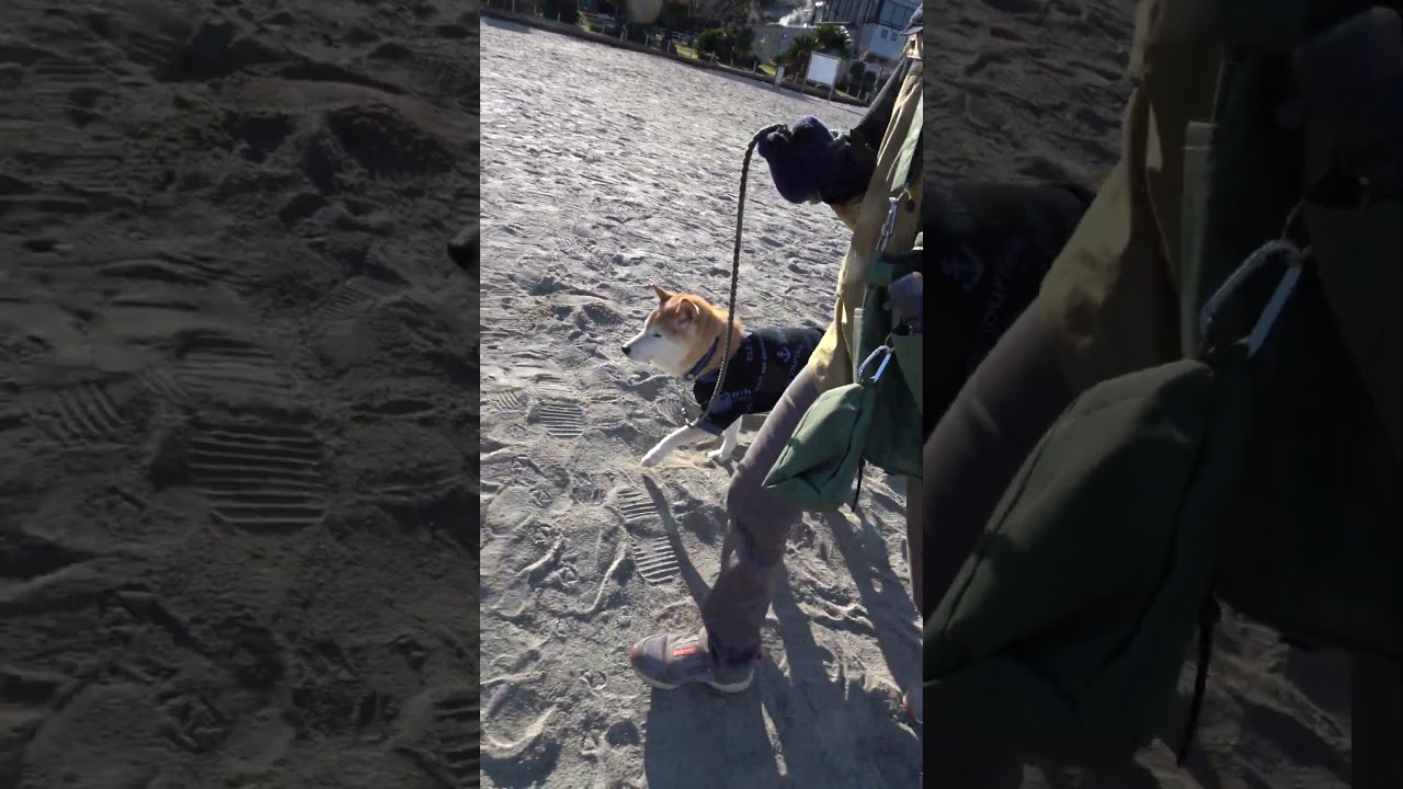 20260101-カンチ＆トミ-2026元旦のお台場へ