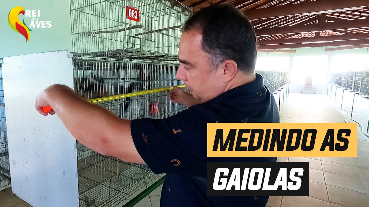 TAMANHOS DE GAIOLAS PARA AVES EXÓTICAS