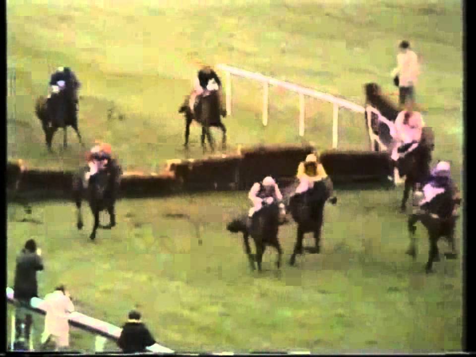 Night Nurse- The 1977 Champion Hurdle (Cheltenham)