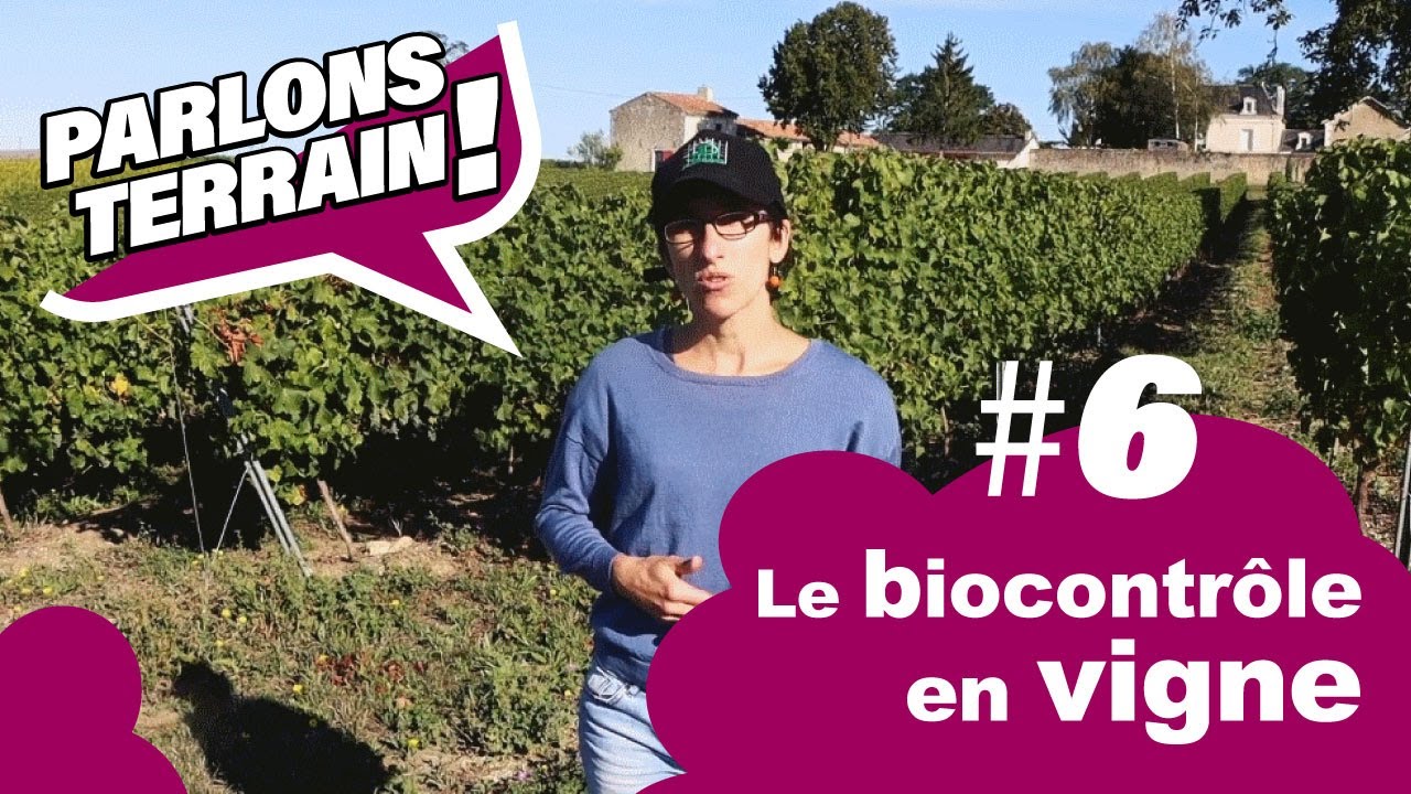 Parlons Terrain#6 Biocontrôle