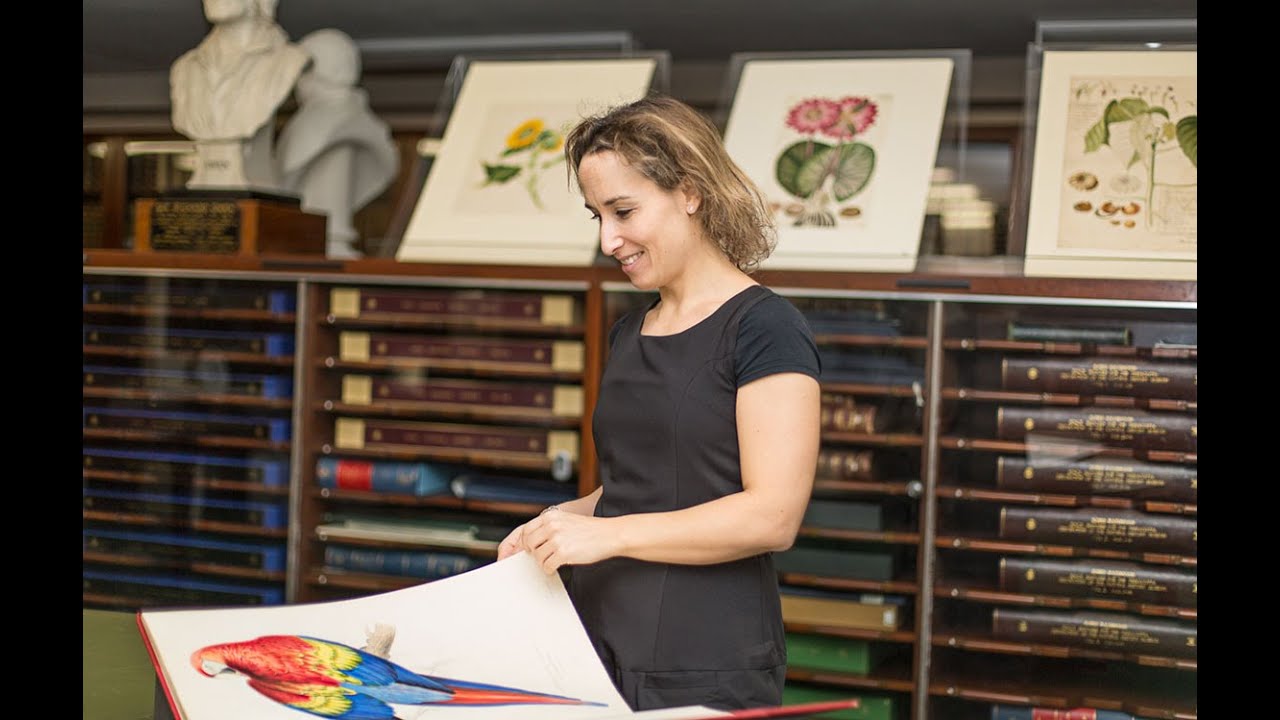 Rare Treasures book - audio slideshow | Natural History Museum