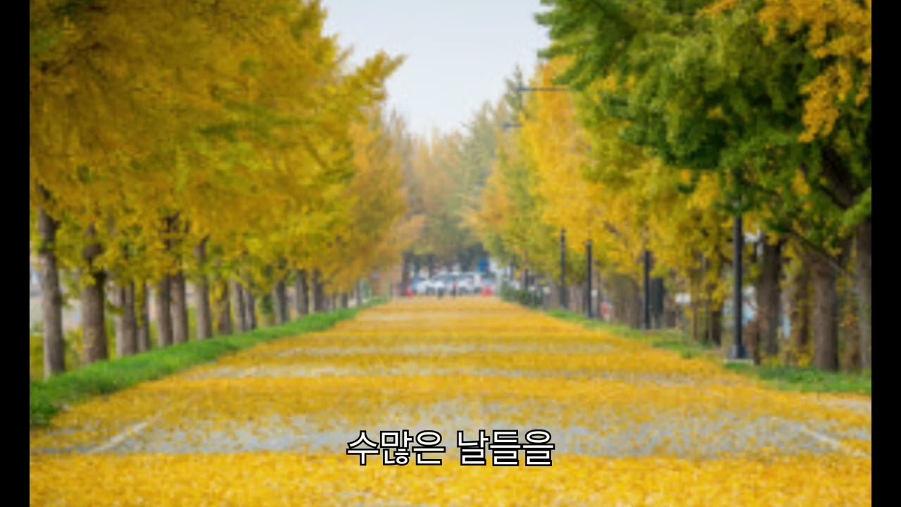 감성 발라드 🎶 🎧  