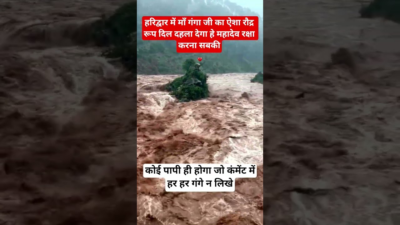 😱 हरिद्वार में माँ गंगा का रौद्र रूप! #haridwar #ganga #heavyrain #floodvideos #viralvideos #shorts