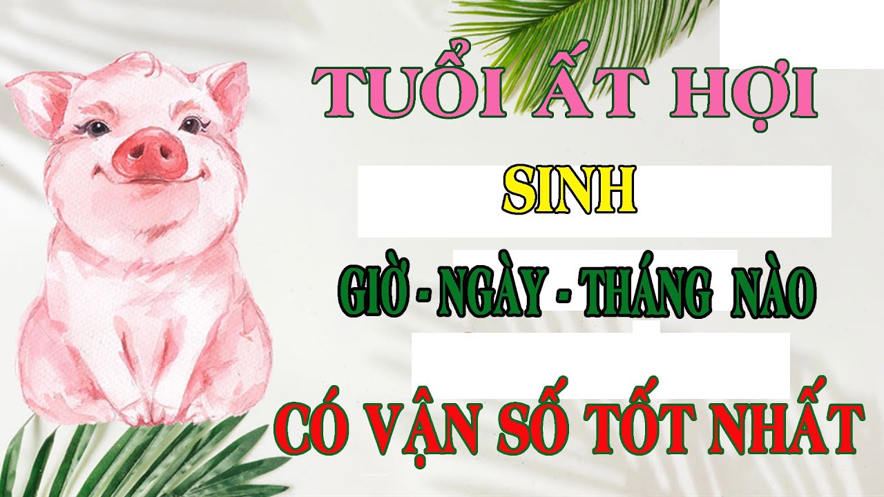 Tuổi Ất Hợi sinh vào giờ, ngày, tháng nào thì có vận số tốt đẹp nhất? | Ngẫm Để Sống