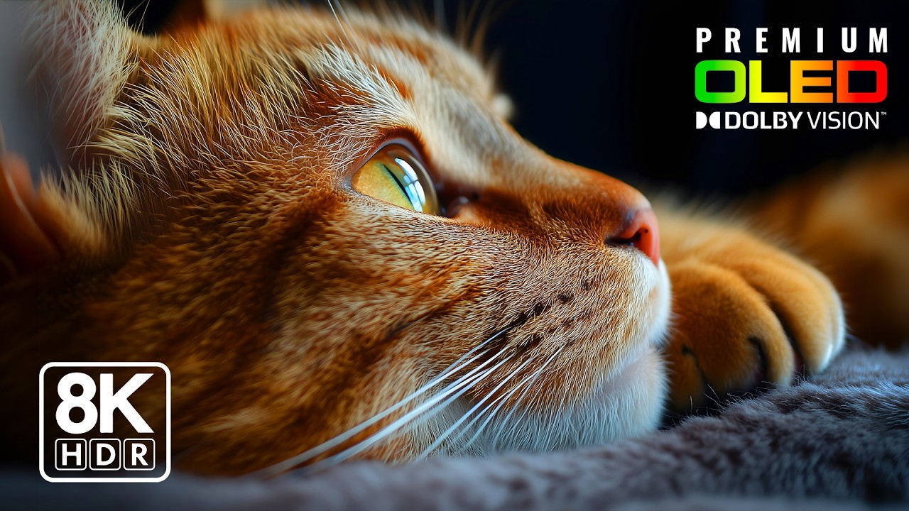 Hidden Landscapes in 8K ULTRA HD 60fps | HDR Dolby Vision™