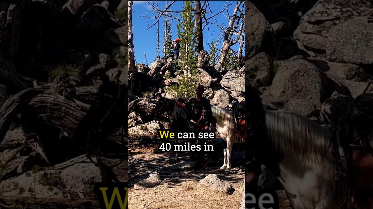 How to Scout for Elk in the Backcountry