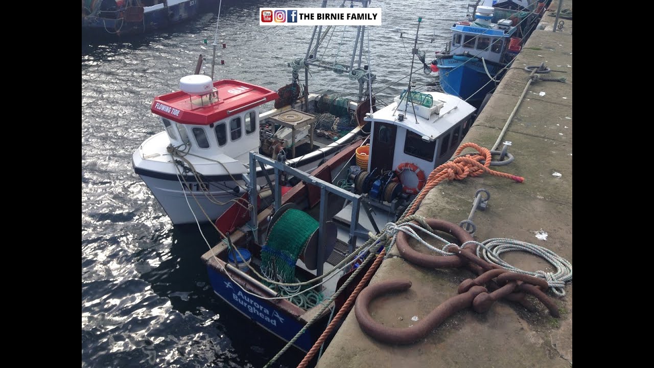 A Tour of a Scottish Fishing Harbour - Scottish Tours