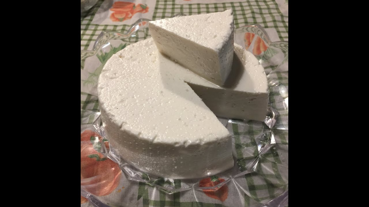 formaggio e ricotta di capra fatti in casa