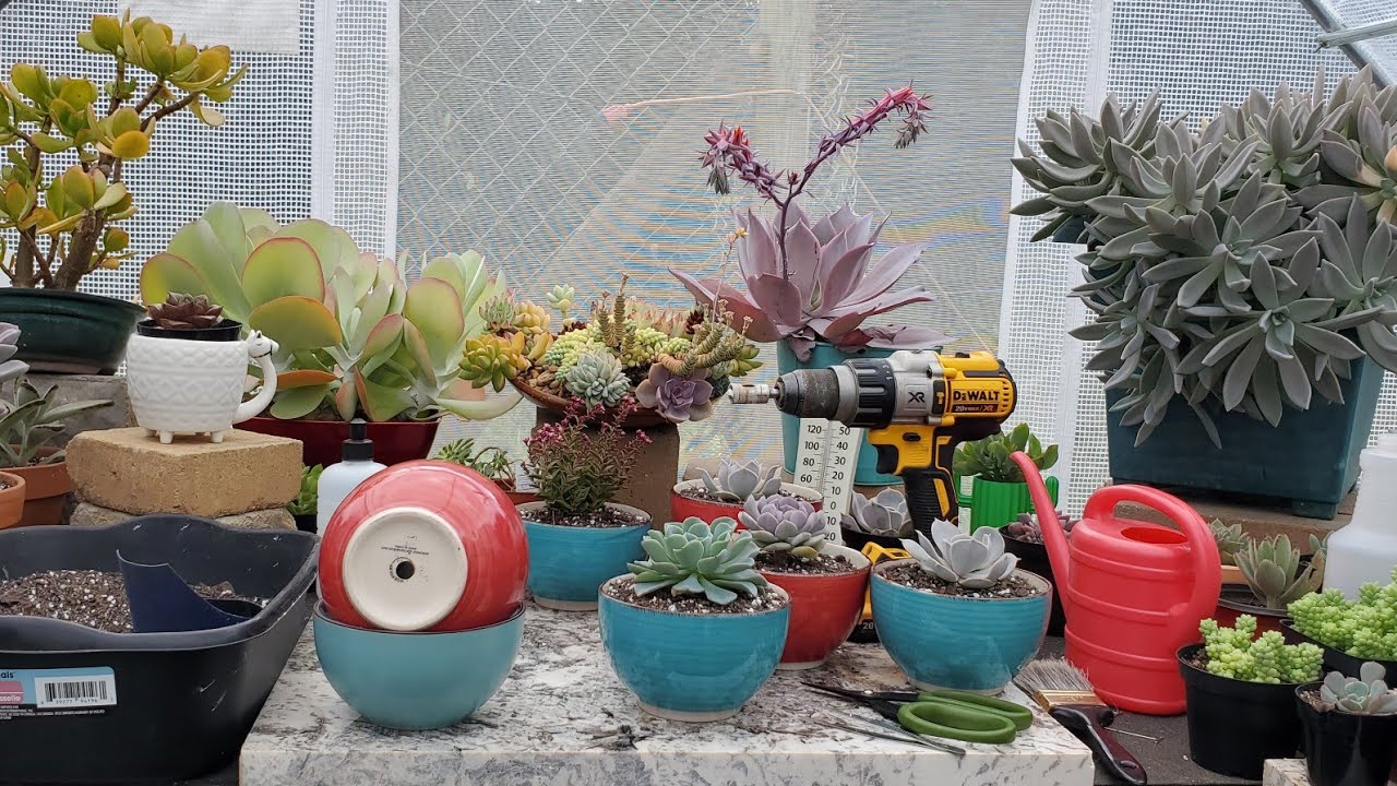 Cómo hacer AGUJEROS en tazones de CERÁMICA para suculentas| HOYOS de drenaje | Isaaculentas !! 😉👌