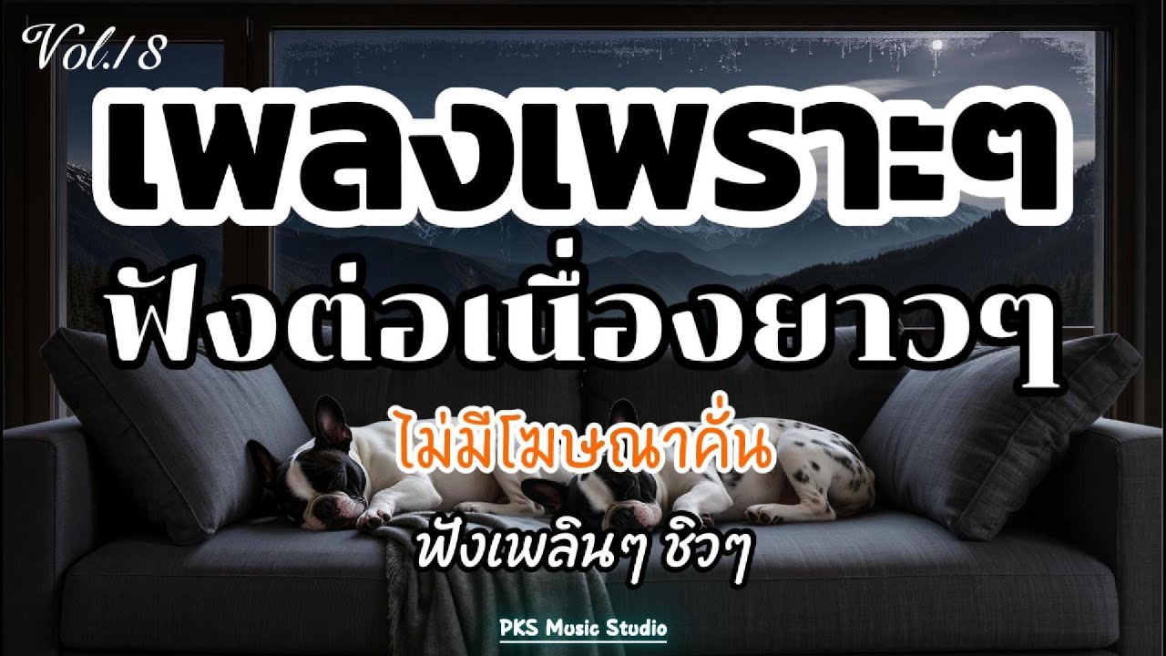 รวมเพลงเพราะ ฟังสบายๆ ไม่มีโฆษณาคั่น ฟังยาวๆ ตลอดวัน 2025