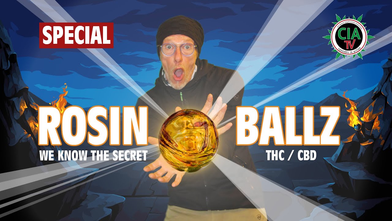 Das Geheimnis der Rosin Balls - So siehts aus, so wird es gemacht