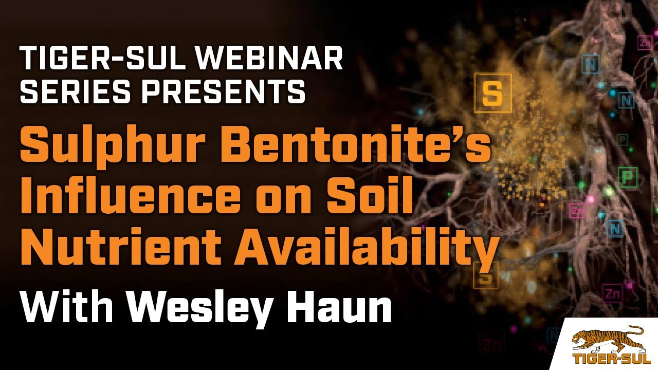Tiger-Sul Webinar: Sulphur Bentonite's Influence on Soil Nutrient Availability