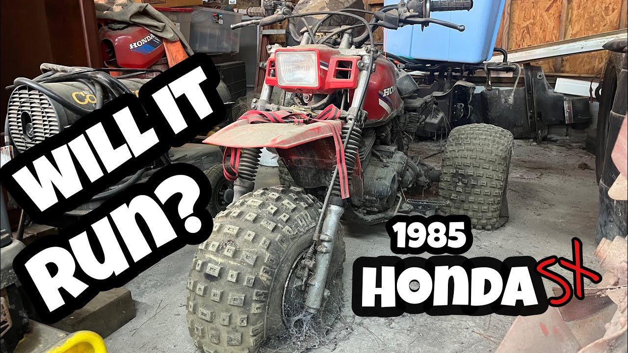 In the back of a shop for 20 years!