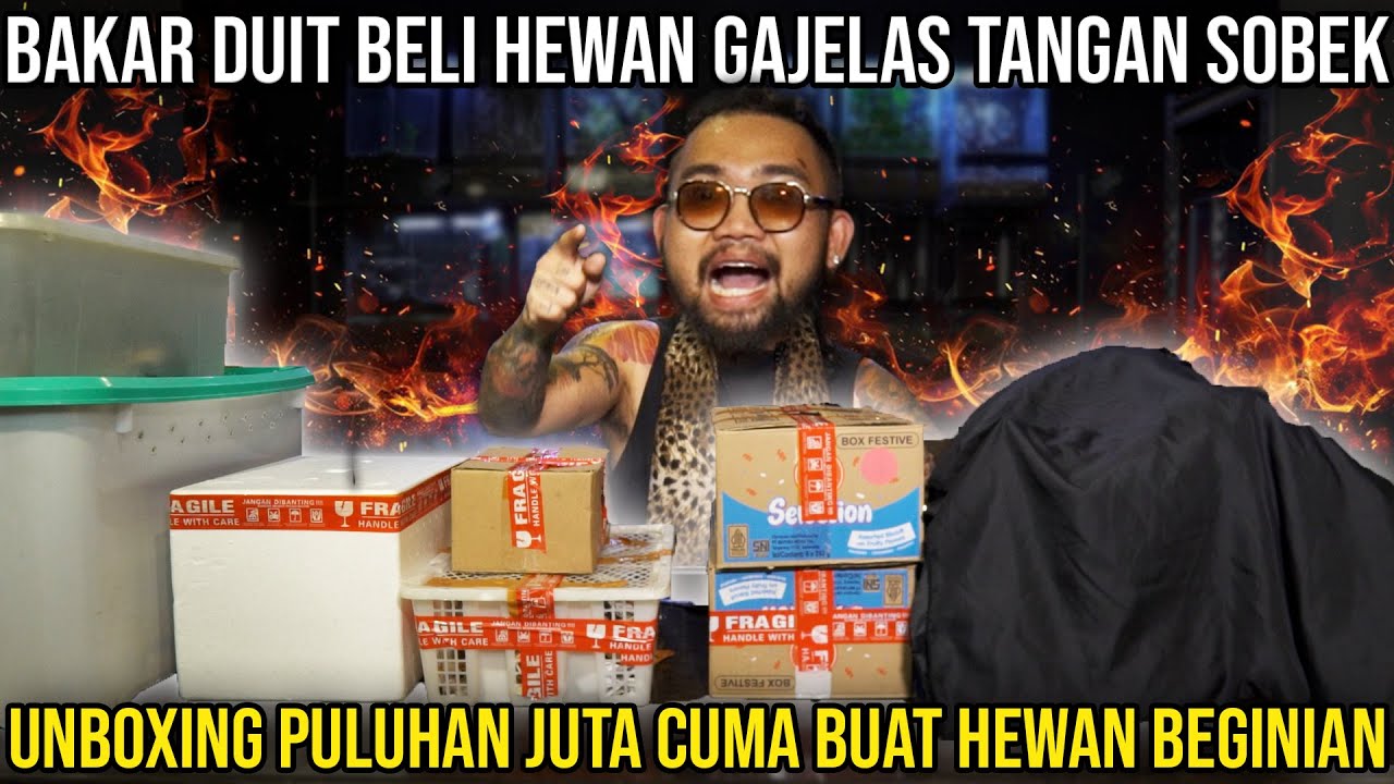 BAKAR DUIT BELI HEWAN GAJELAS TANGAN SOBEK UNBOXING PULUHAN JUTA CUMA BUAT HEWAN BEGINIAN