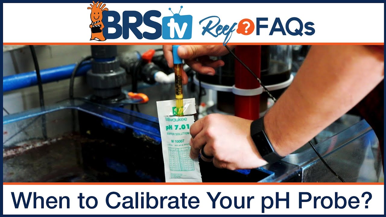 Reef tank pH: When should I calibrate my pH probe for aquarium pH monitor or controller? | Reef FAQs