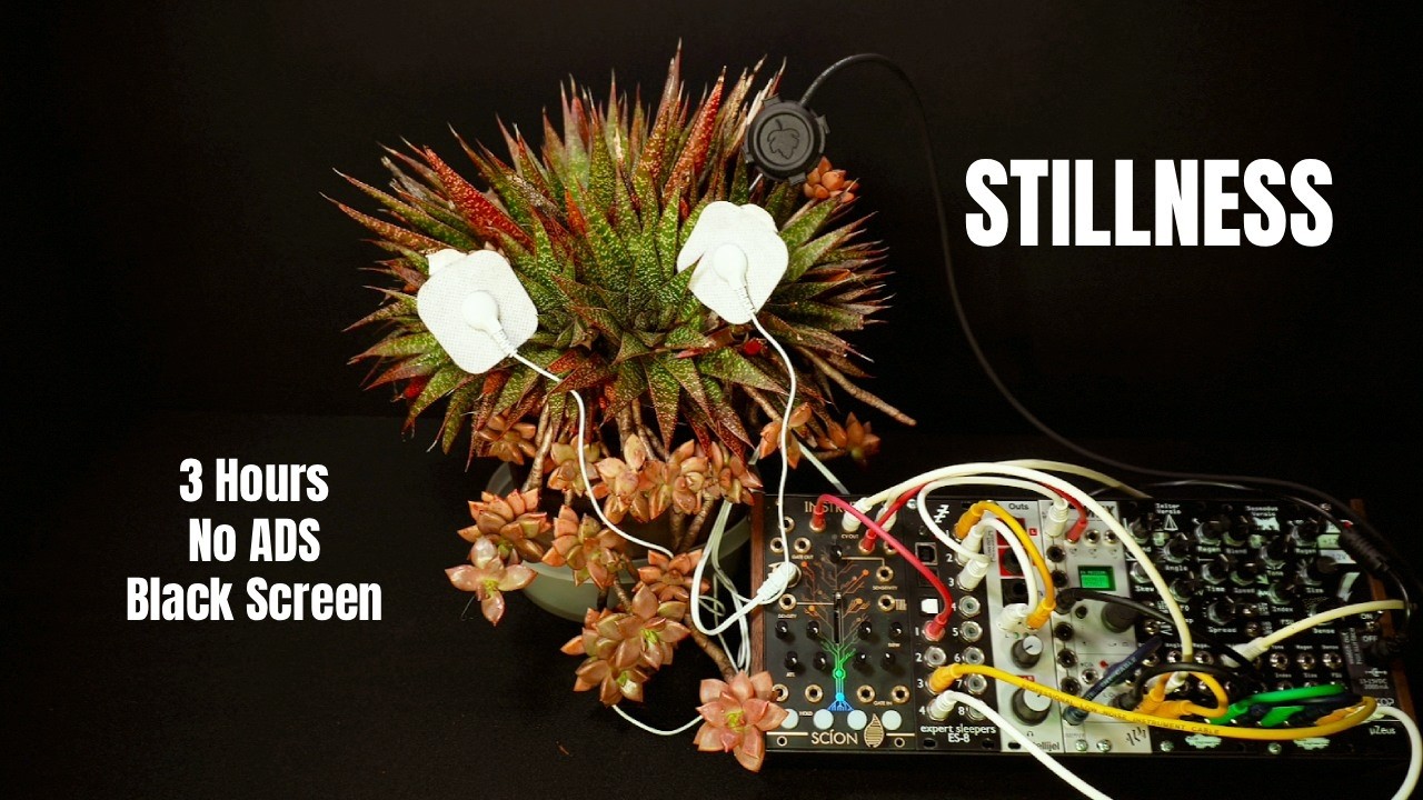 3 Hours of Living Plant Music 🌿 (No Ads &bull; Black Screen &bull; 432Hz)