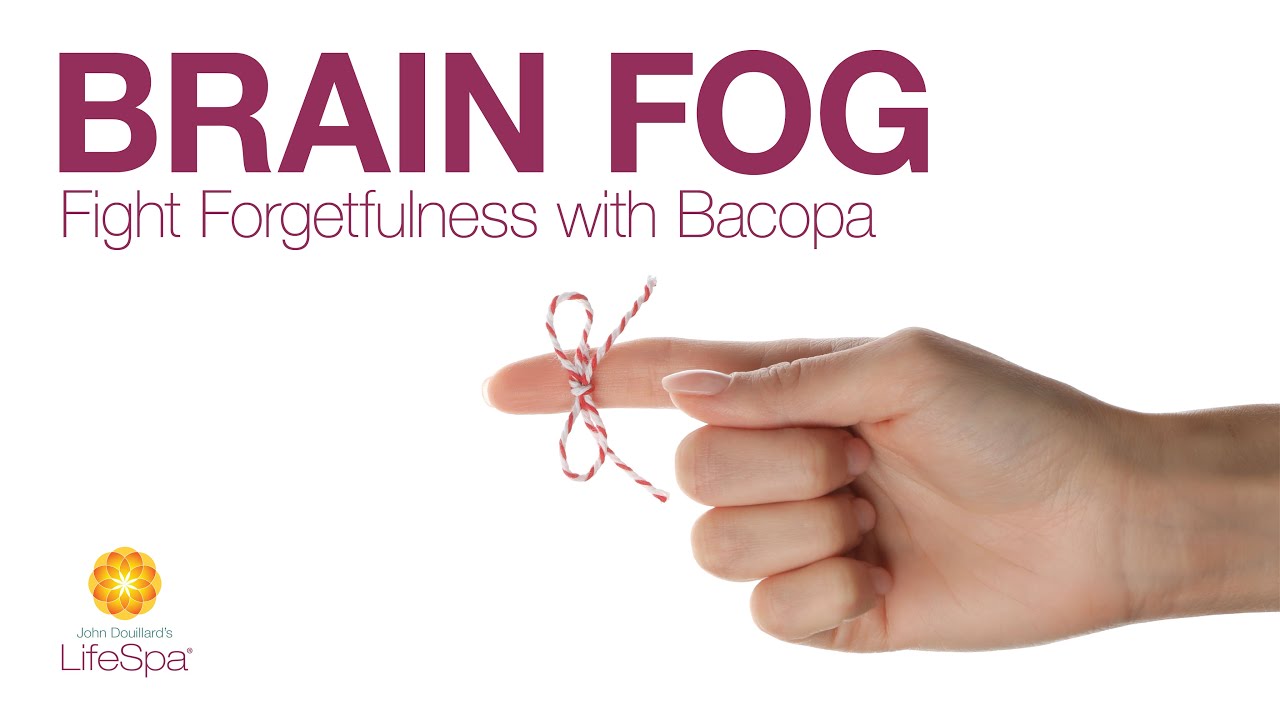 Ayurveda and Brain Fog: Fight Forgetfulness and Fogginess with Bacopa | John Douillard's LifeSpa