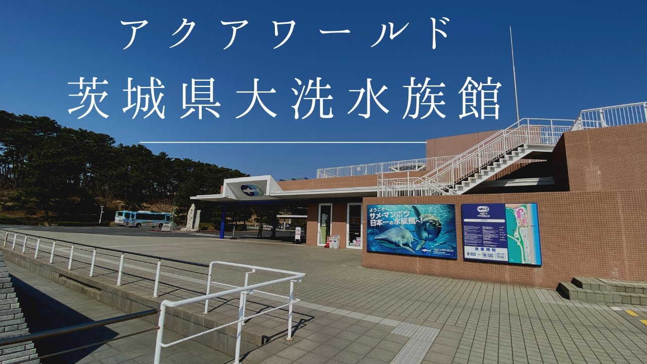 アクアワールド茨城県大洗水族館　Aquarium，水族馆，मछलीघर，Аквариум，Acuario，