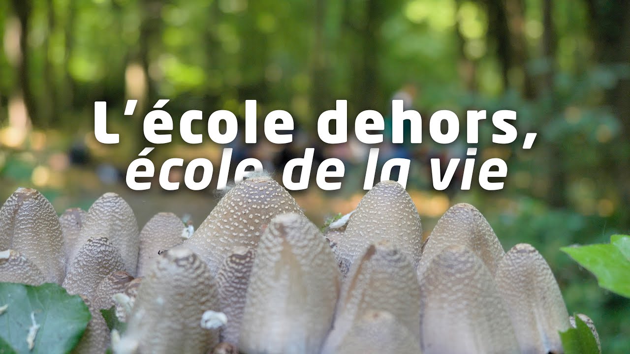 L'école dehors, école de la vie. | DOCUMENTAIRE