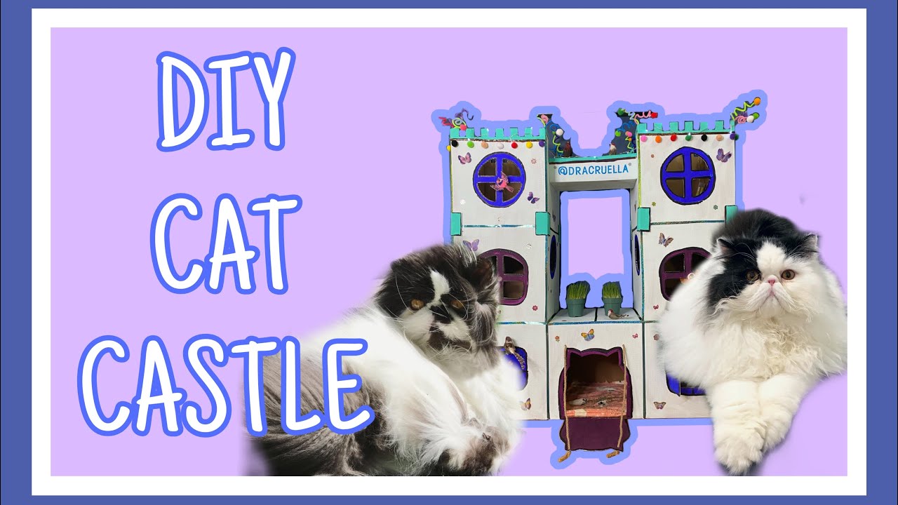 DIY Cat Castle/Fort made out of Cardboard boxes