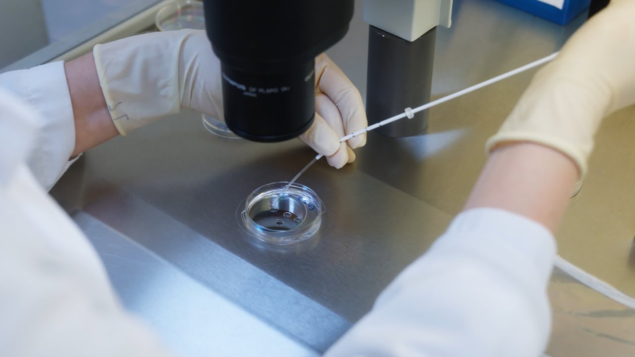 LUMC   IVF traject ENG