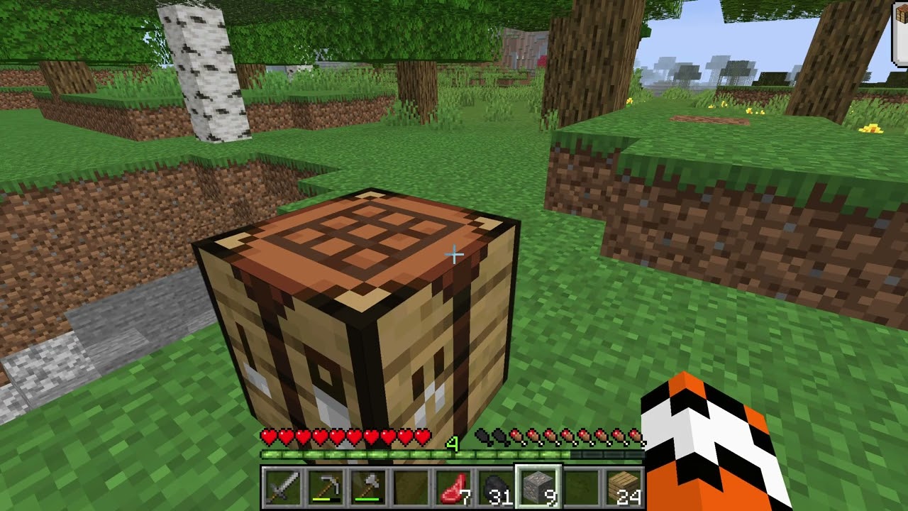 The Beginning of My Minecraft Journey