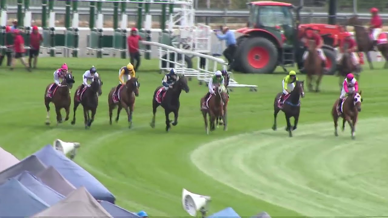 Hobart Cup 2025 - STRAWBERRY ROCK (Hcp G3) Group 3 Hobart 9 February