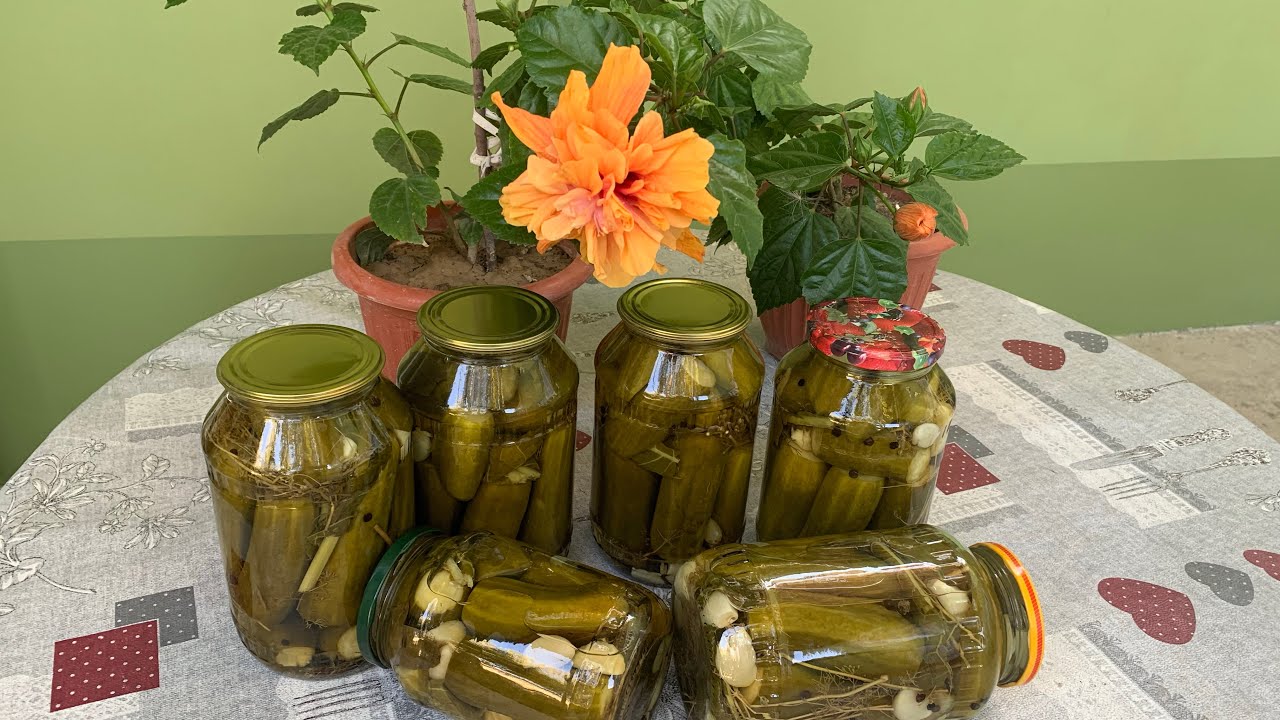 БОДРИНГ ТУЗЛАШ ЭНГ ОСОН ВА ЭНГ СИФАТЛИ 👍🏻💥😊😋