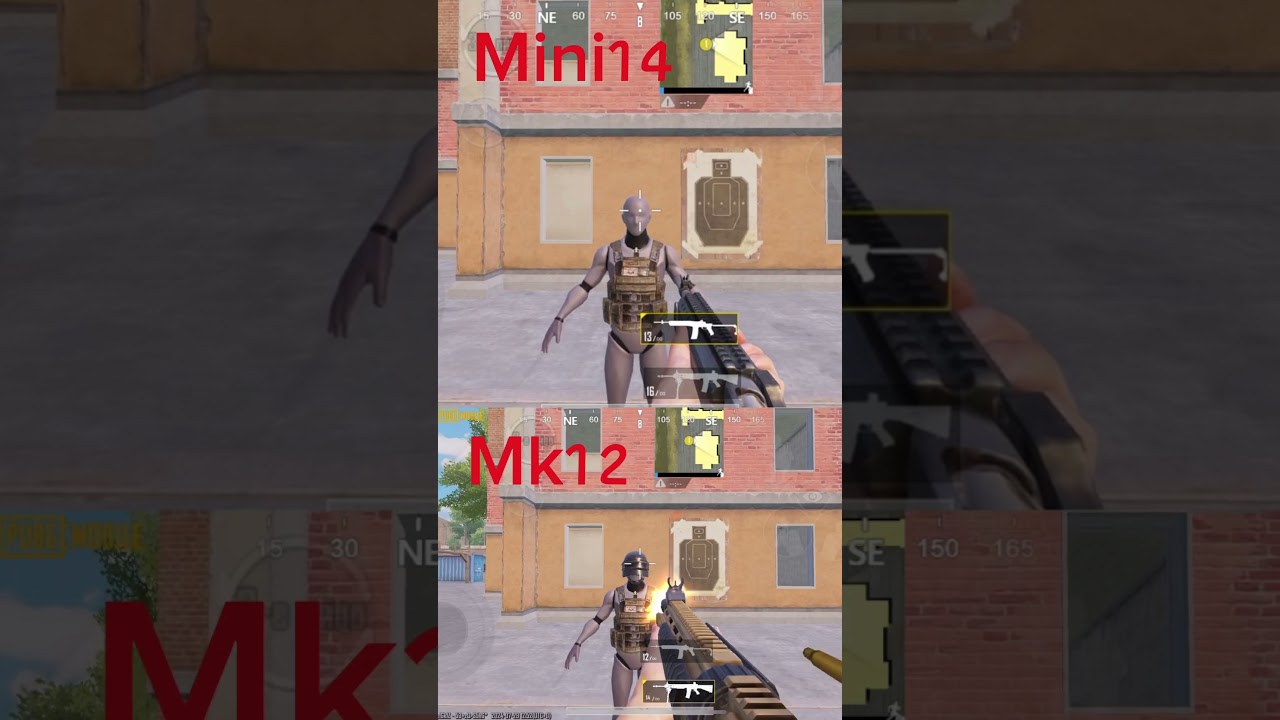 Which is best ? Mini 14 vs Mk12 ? #pubg  #whichisthebest #Mini14